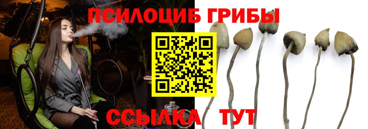 Псилоцибиновые грибы Psilocybine cubensis Семилуки